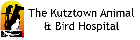 Kutztown Animal Hospital